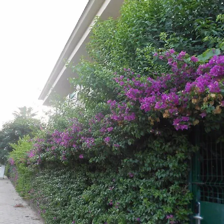 Astoria Kemer